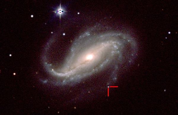 NGC 613 and it's new supernova
