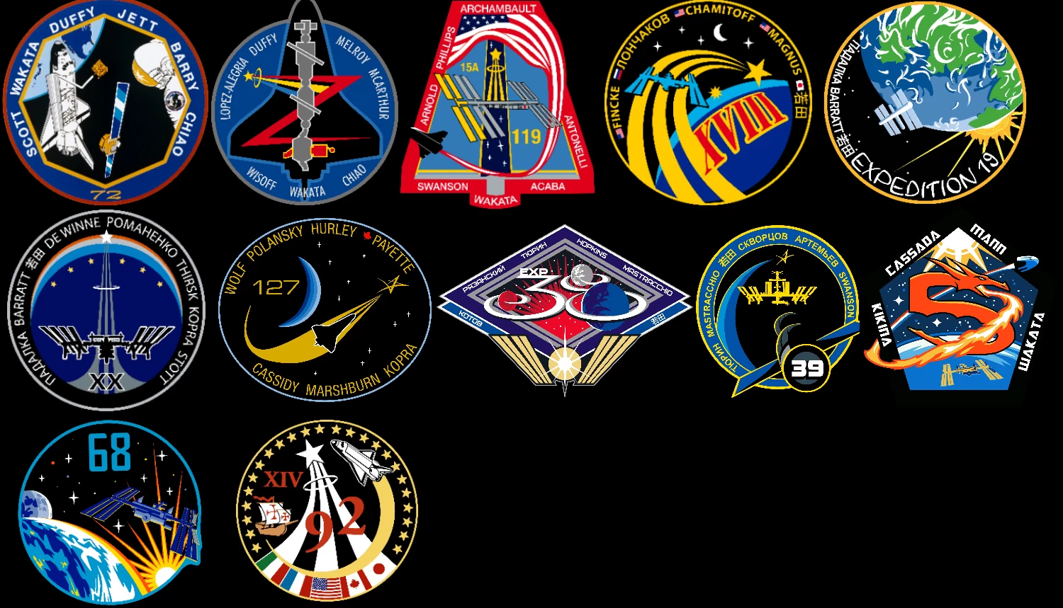 Koichi Wakata Insignia