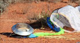 Hayabasu_JAXA has landed
