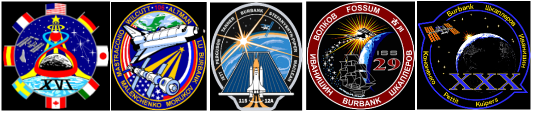 Daniel Burbank's spaceflight insignia