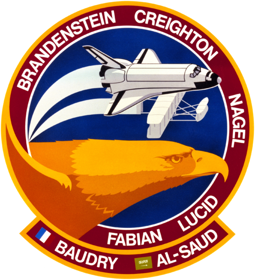STS-51-G Insignia
