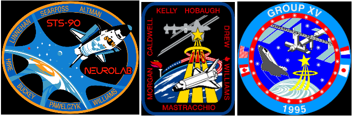 Dr Dave Williams Insignia