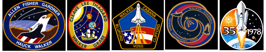Dave Walker Insignia