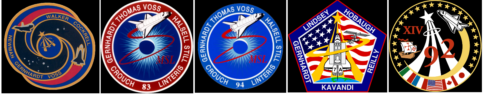Michael Gernhardt Insignia