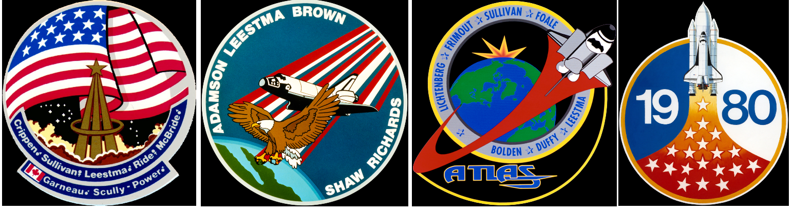 David Leestma Insignia
